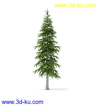 冬季针叶树模型合集,圣诞树,针叶树,松树,彬树,银杏树等模型52个的图片