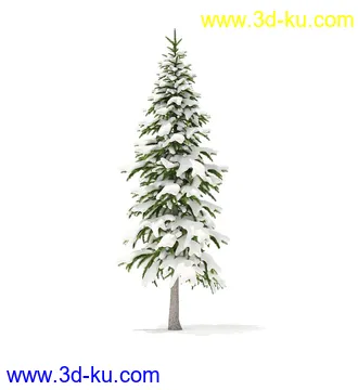 冬季针叶树模型合集,圣诞树,针叶树,松树,彬树,银杏树等模型52个的图片
