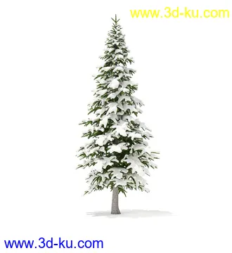 冬季针叶树模型合集,圣诞树,针叶树,松树,彬树,银杏树等模型52个的图片