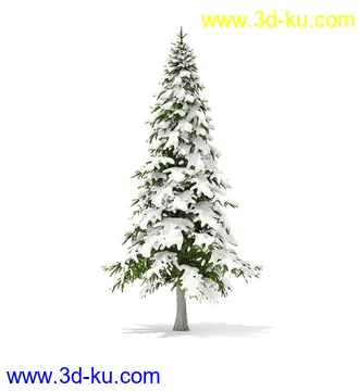 冬季针叶树模型合集,圣诞树,针叶树,松树,彬树,银杏树等模型52个的图片