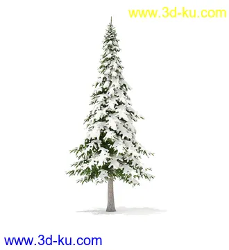 冬季针叶树模型合集,圣诞树,针叶树,松树,彬树,银杏树等模型52个的图片