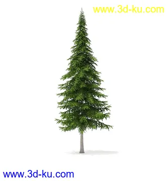 冬季针叶树模型合集,圣诞树,针叶树,松树,彬树,银杏树等模型52个的图片