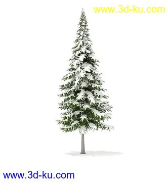 冬季针叶树模型合集,圣诞树,针叶树,松树,彬树,银杏树等模型52个的图片