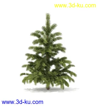 冬季针叶树模型合集,圣诞树,针叶树,松树,彬树,银杏树等模型52个的图片