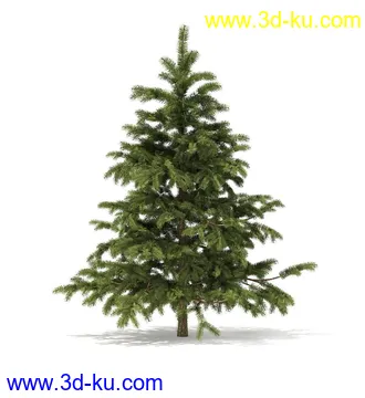 冬季针叶树模型合集,圣诞树,针叶树,松树,彬树,银杏树等模型52个的图片