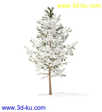 冬季针叶树模型合集,圣诞树,针叶树,松树,彬树,银杏树等模型52个的图片