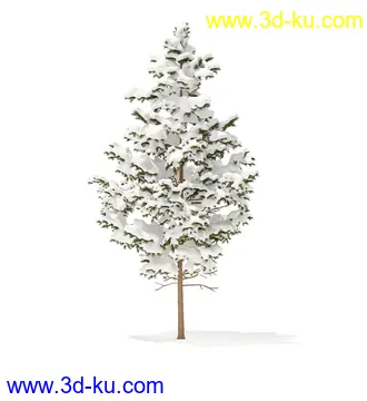 冬季针叶树模型合集,圣诞树,针叶树,松树,彬树,银杏树等模型52个的图片