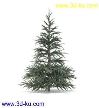 冬季针叶树模型合集,圣诞树,针叶树,松树,彬树,银杏树等模型52个的图片