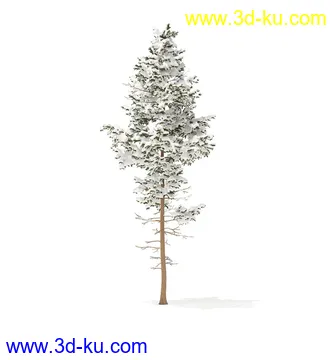 冬季针叶树模型合集,圣诞树,针叶树,松树,彬树,银杏树等模型52个的图片39