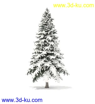 冬季针叶树模型合集,圣诞树,针叶树,松树,彬树,银杏树等模型52个的图片52