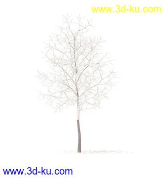 树模型,冬季树,春季树,秃树,没树叶,树干,茂盛的树,等模型54个的图片
