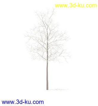 树模型,冬季树,春季树,秃树,没树叶,树干,茂盛的树,等模型54个的图片