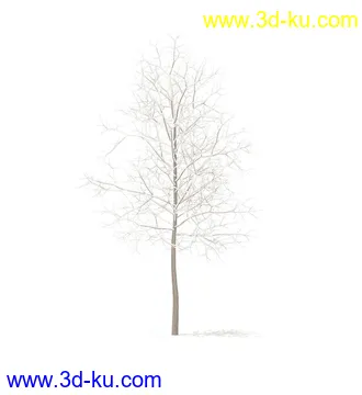 树模型,冬季树,春季树,秃树,没树叶,树干,茂盛的树,等模型54个的图片