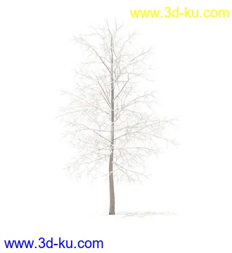 树模型,冬季树,春季树,秃树,没树叶,树干,茂盛的树,等模型54个的图片