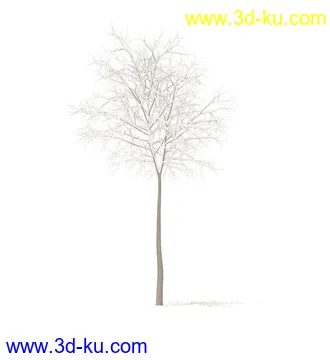 树模型,冬季树,春季树,秃树,没树叶,树干,茂盛的树,等模型54个的图片