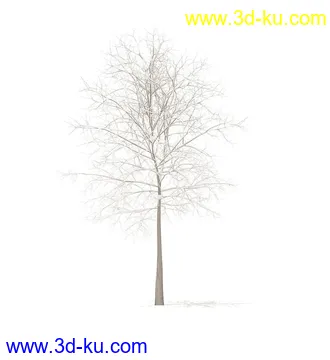 树模型,冬季树,春季树,秃树,没树叶,树干,茂盛的树,等模型54个的图片