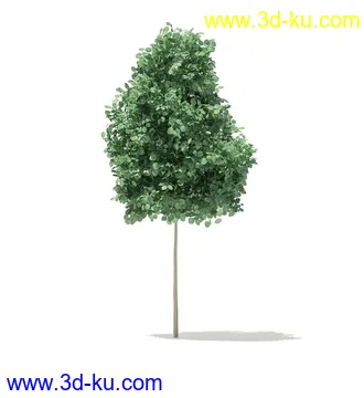 树模型,冬季树,春季树,秃树,没树叶,树干,茂盛的树,等模型54个的图片