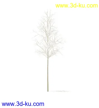 树模型,冬季树,春季树,秃树,没树叶,树干,茂盛的树,等模型54个的图片