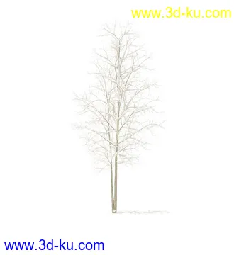 树模型,冬季树,春季树,秃树,没树叶,树干,茂盛的树,等模型54个的图片