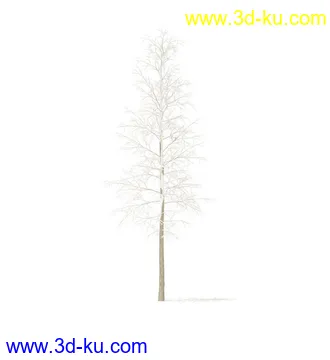 树模型,冬季树,春季树,秃树,没树叶,树干,茂盛的树,等模型54个的图片