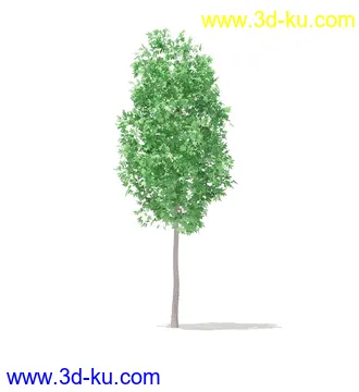 树模型,冬季树,春季树,秃树,没树叶,树干,茂盛的树,等模型54个的图片