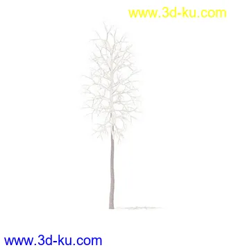 树模型,冬季树,春季树,秃树,没树叶,树干,茂盛的树,等模型54个的图片