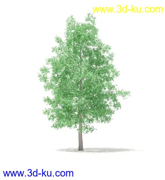 树模型,冬季树,春季树,秃树,没树叶,树干,茂盛的树,等模型54个的图片