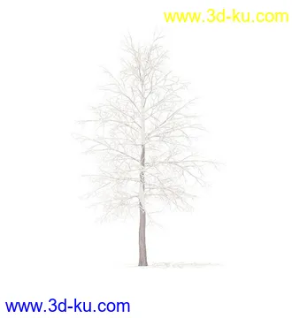 树模型,冬季树,春季树,秃树,没树叶,树干,茂盛的树,等模型54个的图片