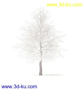 树模型,冬季树,春季树,秃树,没树叶,树干,茂盛的树,等模型54个的图片