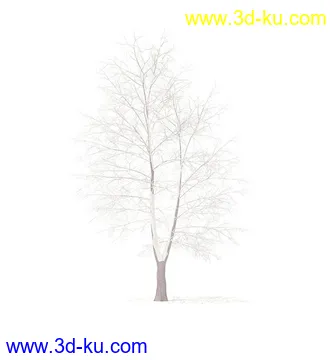 树模型,冬季树,春季树,秃树,没树叶,树干,茂盛的树,等模型54个的图片34