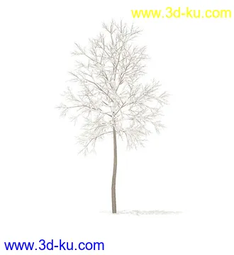 树模型,冬季树,春季树,秃树,没树叶,树干,茂盛的树,等模型54个的图片37