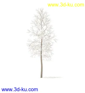 树模型,冬季树,春季树,秃树,没树叶,树干,茂盛的树,等模型54个的图片39