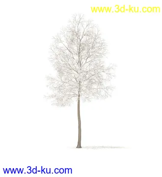 树模型,冬季树,春季树,秃树,没树叶,树干,茂盛的树,等模型54个的图片41