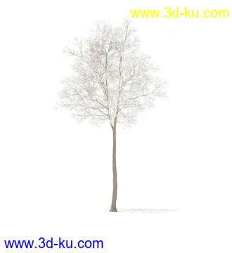 树模型,冬季树,春季树,秃树,没树叶,树干,茂盛的树,等模型54个的图片43