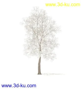 树模型,冬季树,春季树,秃树,没树叶,树干,茂盛的树,等模型54个的图片45