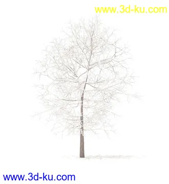 树模型,冬季树,春季树,秃树,没树叶,树干,茂盛的树,等模型54个的图片46