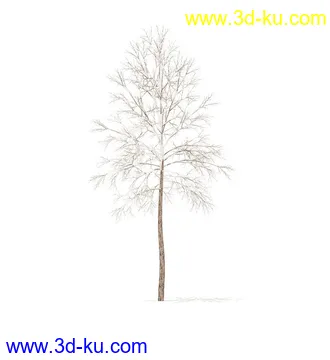树模型,冬季树,春季树,秃树,没树叶,树干,茂盛的树,等模型54个的图片48