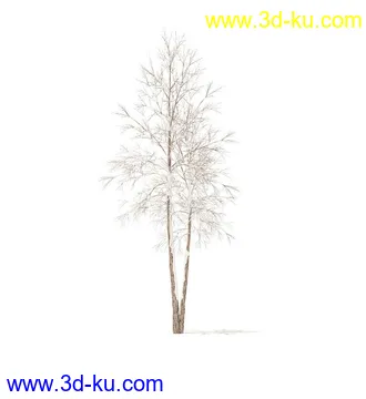 树模型,冬季树,春季树,秃树,没树叶,树干,茂盛的树,等模型54个的图片50