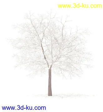 树模型,冬季树,春季树,秃树,没树叶,树干,茂盛的树,等模型54个的图片52