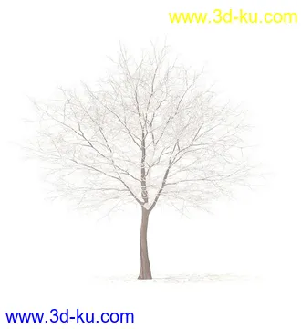 树模型,冬季树,春季树,秃树,没树叶,树干,茂盛的树,等模型54个的图片54