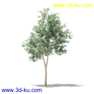 果树模型合集,梨树,橘子树,橙树,枣树,芒果树,柚树等常见的果树模型60个的图片18