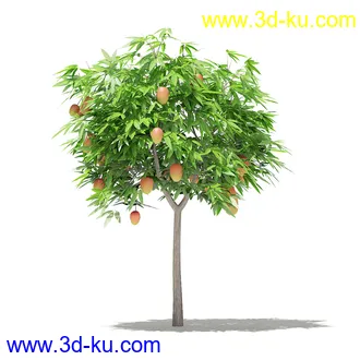 果树模型合集,梨树,橘子树,橙树,枣树,芒果树,柚树等常见的果树模型60个的图片31