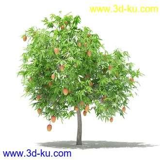 果树模型合集,梨树,橘子树,橙树,枣树,芒果树,柚树等常见的果树模型60个的图片33