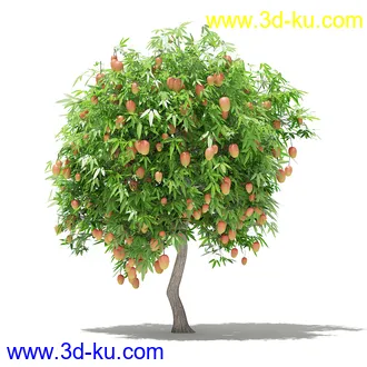 果树模型合集,梨树,橘子树,橙树,枣树,芒果树,柚树等常见的果树模型60个的图片36