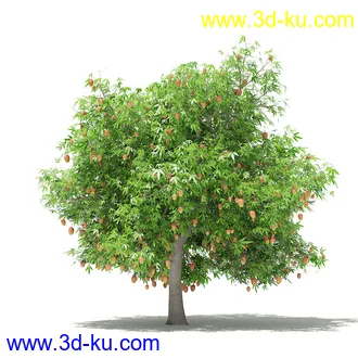 果树模型合集,梨树,橘子树,橙树,枣树,芒果树,柚树等常见的果树模型60个的图片41