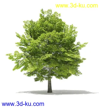 树木模型合集,各类树木模型共40个的图片