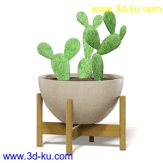室内植物模型,盆景,盆栽,仙人掌,虎尾兰,白子菜,多肉,月季花,薰衣草,波斯-顿蕨,满天星等植物模型30个的图片