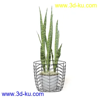 室内植物模型,盆景,盆栽,仙人掌,虎尾兰,白子菜,多肉,月季花,薰衣草,波斯-顿蕨,满天星等植物模型30个的图片