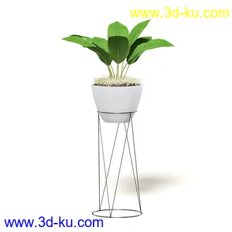 室内植物模型,盆景,盆栽,仙人掌,虎尾兰,白子菜,多肉,月季花,薰衣草,波斯-顿蕨,满天星等植物模型30个的图片