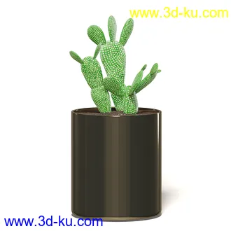 室内植物模型,盆景,盆栽,仙人掌,虎尾兰,白子菜,多肉,月季花,薰衣草,波斯-顿蕨,满天星等植物模型30个的图片